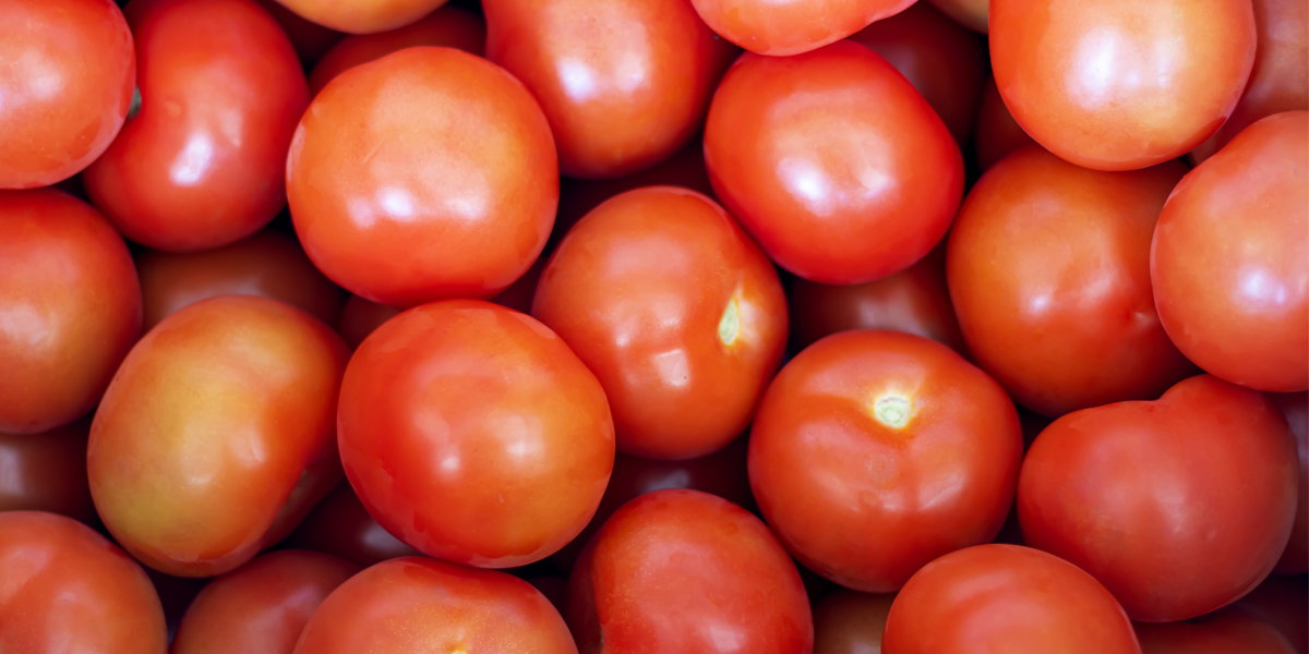 Export des tomates