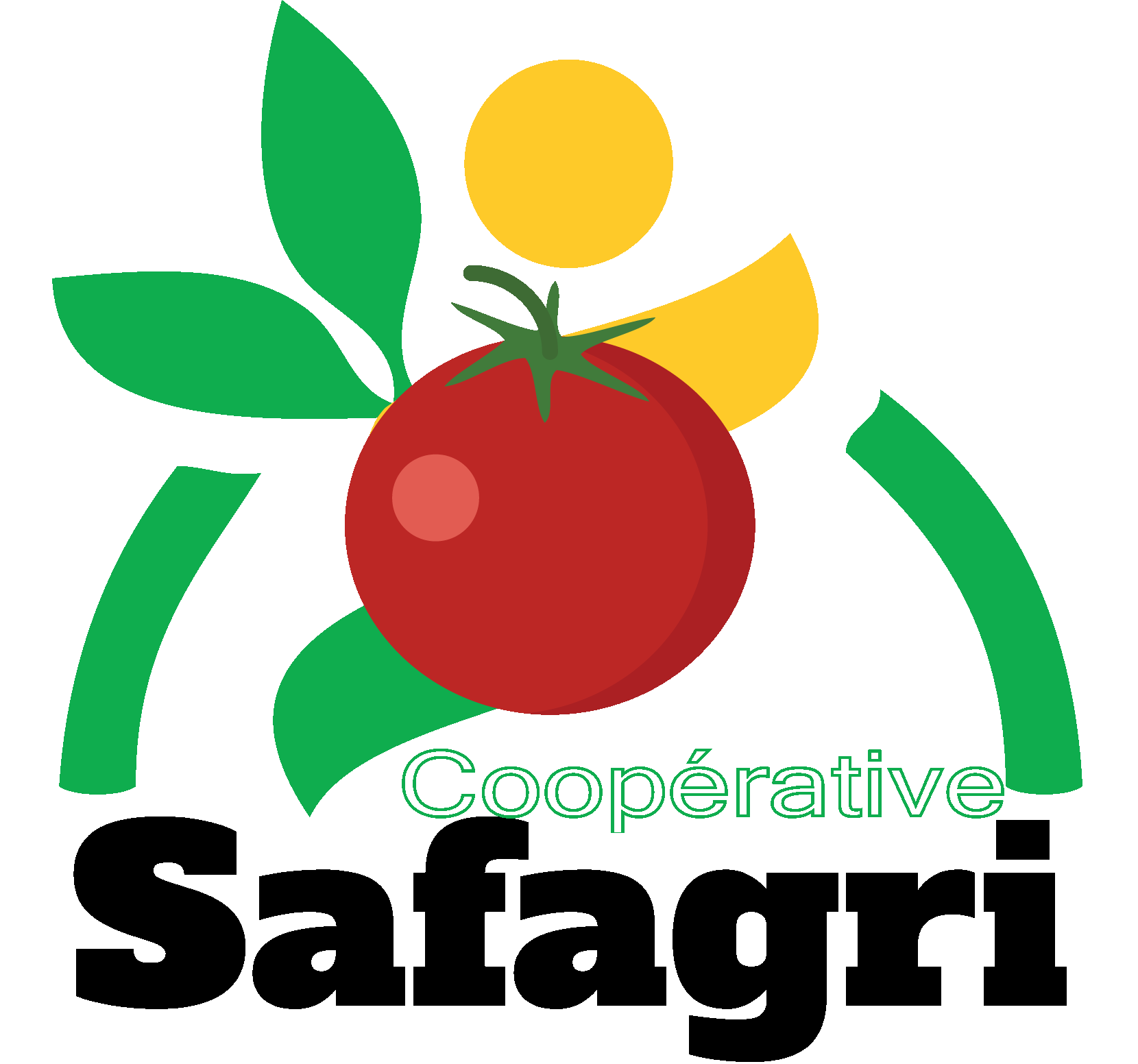 Coopérative agricole SAFAGRI de production des fruits et légumes (TA)